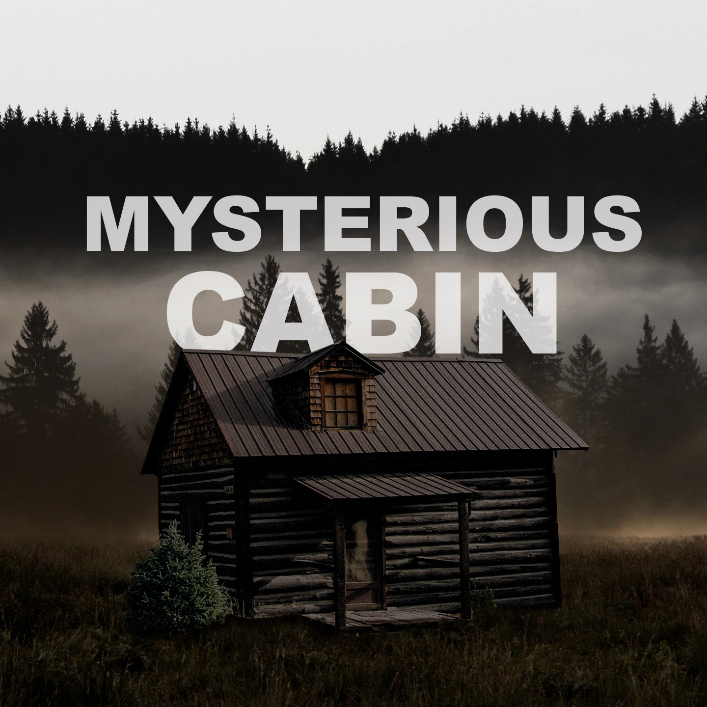 Mysterious Cabin escape room in Dunedin, a forest cabin interior with a stone hearth and names carved into the beams
